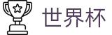 2026FIFA世界杯官方指定平台 | 官方中文服务导航